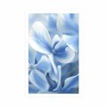 POSTER BLUE-WHITE HYDRANGEA FLOWERS - FLOWERS - POSTERS