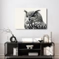 WANDBILD SCHWARZ-WEISSES EULENPORTRÄT - BILDER VON VÖGELN - BILDER