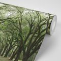 SELF ADHESIVE WALL MURAL IN THE EMBRACE OF TREES - SELF-ADHESIVE WALLPAPERS - WALLPAPERS