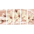 5-PIECE CANVAS PRINT LUXURIOUS MAGNOLIA WITH PEARLS - PICTURES FLOWERS - PICTURES