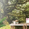 SELF ADHESIVE WALL MURAL TREES COVERED WITH MOSS - SELF-ADHESIVE WALLPAPERS{% if product.category.pathNames[0] != product.category.name %} - WALLPAPERS{% endif %}