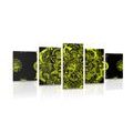 5 PART PICTURE YELLOW MANDALA - PICTURES FENG SHUI{% if kategorie.adresa_nazvy[0] != zbozi.kategorie.nazev %} - PICTURES{% endif %}