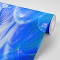 SELF ADHESIVE WALLPAPER UNUSUAL BLUE DANDELION - SELF-ADHESIVE WALLPAPERS - WALLPAPERS