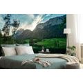 WALL MURAL LIFE IN THE MOUNTAINS - WALLPAPERS NATURE - WALLPAPERS