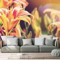 WALL MURAL FLOWERS IN A GARDEN - WALLPAPERS FLOWERS - WALLPAPERS