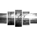 5-PIECE CANVAS PRINT SUNSET ON A BEACH IN BLACK AND WHITE - BLACK AND WHITE PICTURES - PICTURES