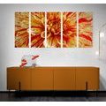 5-PIECE CANVAS PRINT EXOTIC DAHLIA - PICTURES FLOWERS{% if product.category.pathNames[0] != product.category.name %} - PICTURES{% endif %}