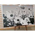 QUADRO DI FIORI ESTIVI IN BIANCO E NERO - QUADRI BIANCO E NERO - QUADRI