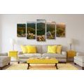 5-PIECE CANVAS PRINT NATURE BATHED IN THE SUN - PICTURES OF NATURE AND LANDSCAPE - PICTURES