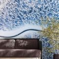 SELF ADHESIVE WALL MURAL VIEW OF A WINTER LANDSCAPE - SELF-ADHESIVE WALLPAPERS - WALLPAPERS