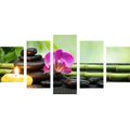 5-PIECE CANVAS PRINT FENG SHUI STILL LIFE - PICTURES FENG SHUI - PICTURES