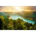 CANVAS PRINT RIVER IN THE MIDDLE OF A GREEN FOREST - PICTURES OF NATURE AND LANDSCAPE - PICTURES