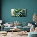 WANDBILD SCHÖNHEIT DER SUKKULENTE - BOTANISCHE BILDER - BILDER