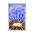 POSTER DANDELION IN PURPLE DESIGN - FLOWERS - POSTERS