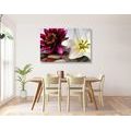 CANVAS PRINT FLOWERS IN A BOWL WITH ZEN STONES - PICTURES FLOWERS - PICTURES