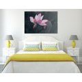 CANVAS PRINT DELICATE LOTUS FLOWER - PICTURES FLOWERS{% if product.category.pathNames[0] != product.category.name %} - PICTURES{% endif %}