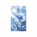 POSTER WITH MOUNT BLUE-WHITE HYDRANGEA FLOWERS - FLOWERS - POSTERS