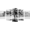 5-PIECE CANVAS PRINT ORIENTAL CHERRY IN BLACK AND WHITE - BLACK AND WHITE PICTURES - PICTURES