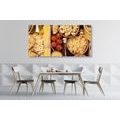 CANVAS PRINT PASTA VARIATIONS - PICTURES OF FOOD AND DRINKS - PICTURES