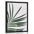 POSTER BEAUTIFUL PALM LEAF - STILL LIFE - POSTERS