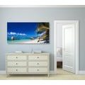 CANVAS PRINT ANSE SOURCE BEACH - PICTURES OF NATURE AND LANDSCAPE - PICTURES