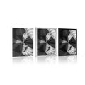 POSTER ARTISTIC ABSTRACTION IN BLACK AND WHITE - ABSTRACT AND PATTERNED - POSTERS