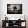 WANDBILD LEBENSBAUM IM STURM - HALLOWEEN- UND HORROR-BILDER - BILDER