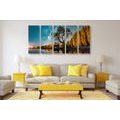 5-PIECE CANVAS PRINT TREE UNDER A STARRY SKY - PICTURES OF NATURE AND LANDSCAPE - PICTURES