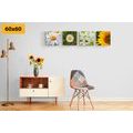 CANVAS PRINT SET MEADOW FLOWERS - SET OF PICTURES - PICTURES