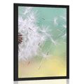 POSTER MAGICAL DANDELION - FLOWERS - POSTERS