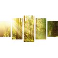 TABLEAU EN 5 PARTIES – RAYONS DE SOLEIL DANS LA FORÊT - TABLEAUX DE LA NATURE ET DES PAYSAGES - TABLEAUX
