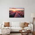 TABLEAU SUR TOILE – SOLEIL AU-DESSUS D’UN CHAMP DE LAVANDE - TABLEAUX DE CHAMPS ET PRAIRIES - TABLEAUX