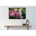 CANVAS PRINT ANGEL IN THE GARDEN - PICTURES OF ANGELS - PICTURES