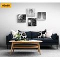 CANVAS PRINT SET MYSTERIOUS WOLF IN BLACK AND WHITE - SET OF PICTURES - PICTURES