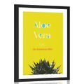 POSTER MIT PASSEPARTOUT WUNDERBARE ALOE VERA - MOTIVE AUS UNSERER WERKSTATT - POSTER