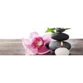 CANVAS PRINT HARMONIOUS STILL LIFE - PICTURES FENG SHUI - PICTURES