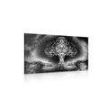 CANVAS PRINT RAVENS AND THE TREE OF LIFE IN BLACK AND WHITE - BLACK AND WHITE PICTURES - PICTURES