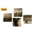 CANVAS PRINT SET MYSTERIOUS NATURE IN SEPIA DESIGN - SET OF PICTURES - PICTURES