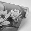 SELF ADHESIVE WALL MURAL BLACK AND WHITE LOTUS FLOWER IN THE LAKE - SELF-ADHESIVE WALLPAPERS - WALLPAPERS