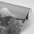 WALL MURAL MOUNT FUJI IN BLACK AND WHITE - WALLPAPERS NATURE - WALLPAPERS