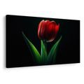 TABLEAU SUR TOILE – ÉLÉGANCE DES TULIPES ROUGES - TABLEAUX - 🔥 VENTE TOTALE