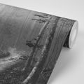 SELF ADHESIVE WALL MURAL BLACK AND WHITE PATH TO THE FOREST - SELF-ADHESIVE WALLPAPERS - WALLPAPERS