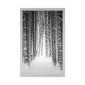 POSTER SCHNEEBEDECKTER WALD IN SCHWARZ-WEISS - SCHWARZ-WEISS - POSTER