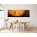 CANVAS PRINT GRASS BLADES AT SUNSET - PICTURES OF NATURE AND LANDSCAPE - PICTURES