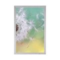 POSTER MAGICAL DANDELION - FLOWERS - POSTERS
