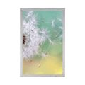 POSTER MAGISCHE PUSTEBLUME - BLUMEN - POSTER