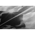 CANVAS PRINT BEAUTIFUL SUNRISE IN NEW ZEALAND IN BLACK AND WHITE - BLACK AND WHITE PICTURES - PICTURES