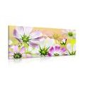 CANVAS PRINT GARDEN FLOWERS - PICTURES FLOWERS - PICTURES