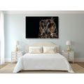 CANVAS PRINT OWL - PICTURES OF ANIMALS - PICTURES
