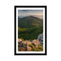 POSTER MIT PASSEPARTOUT IN SONNE GETAUCHTE NATUR - NATUR - POSTER